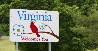 How will legal online sports betting in North Carolina impact Virginia?