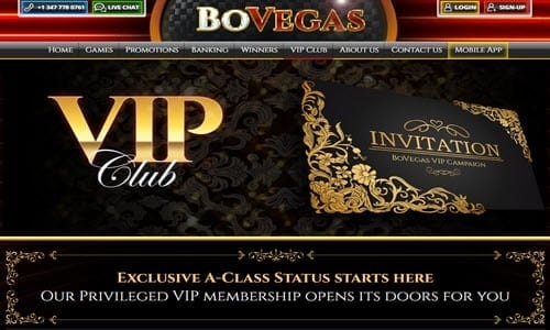 BoVegas Vip Card Casino