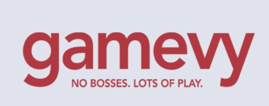 Gamevy Software