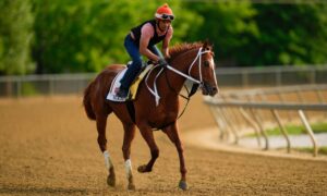 Mage Favorite For 2025 Preakness Stakes