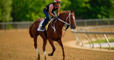 Mage Favorite For 2024 Preakness Stakes